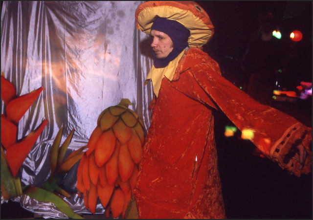 mushroom costume